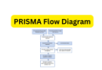 PRISMA Flow Diagram