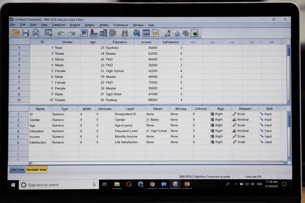 SPSS Data View vs Variable View